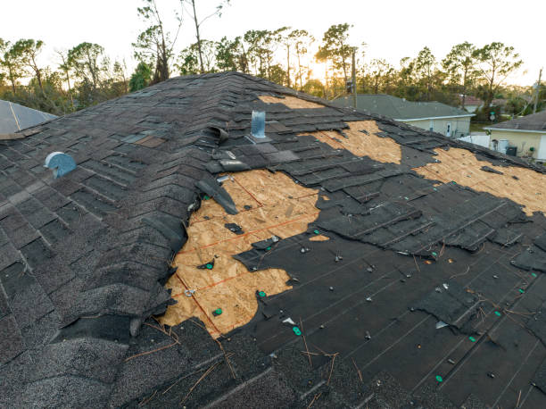Best Metal Roofing Installation  in Morada, CA